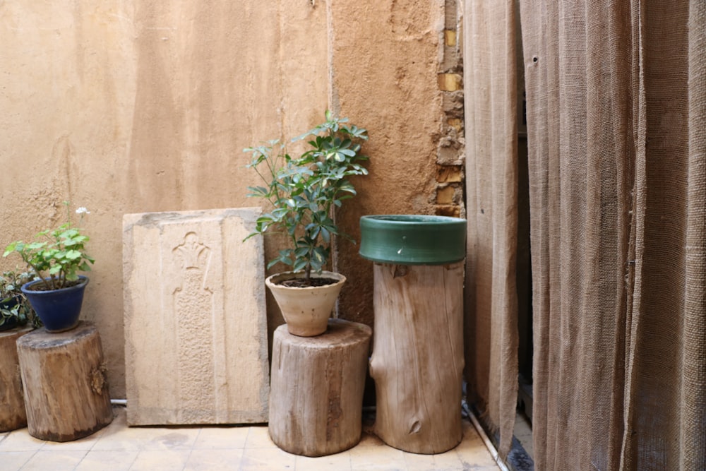 green potted plant on brown wooden seat
