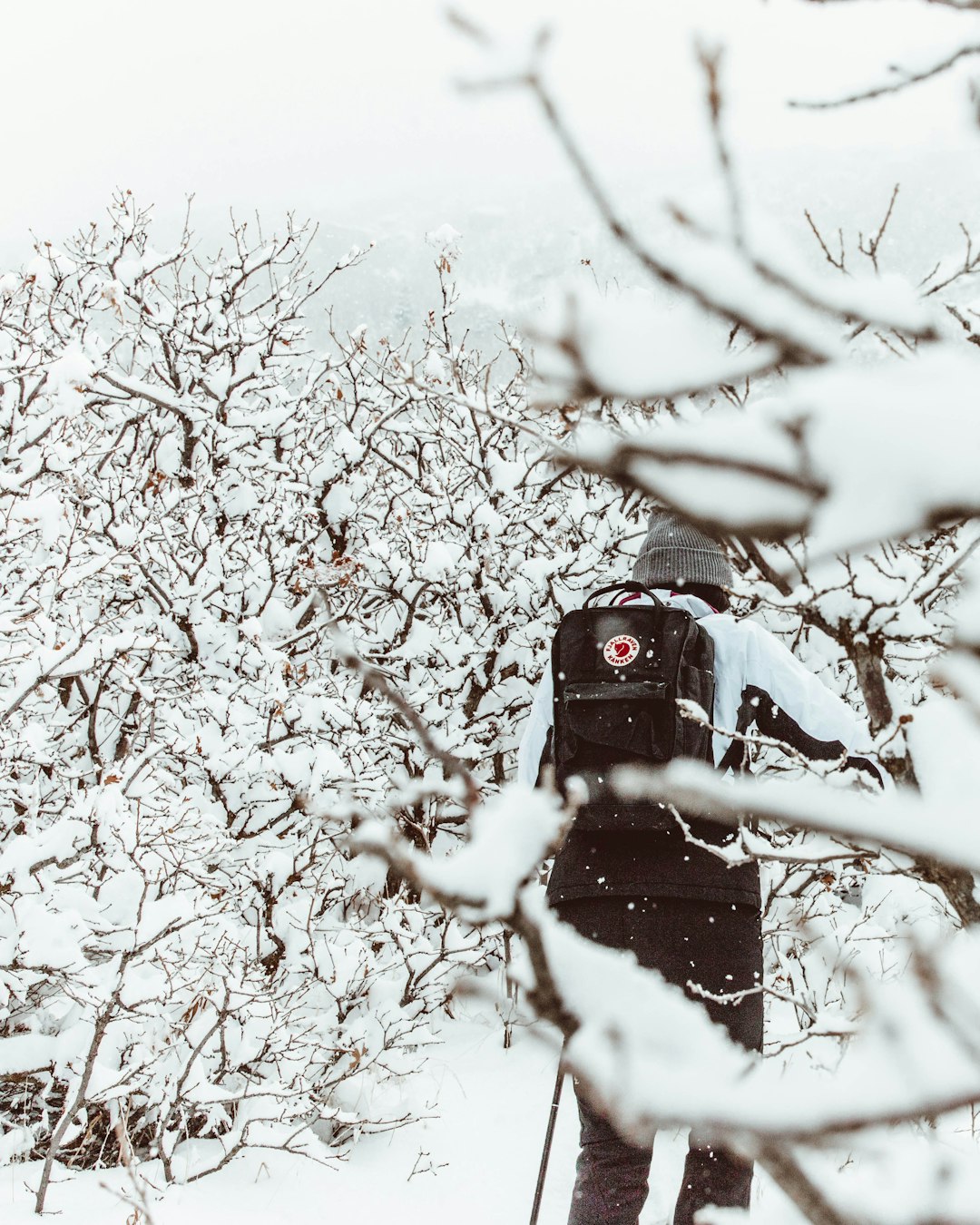 black and red camera on tree branch covered with snow