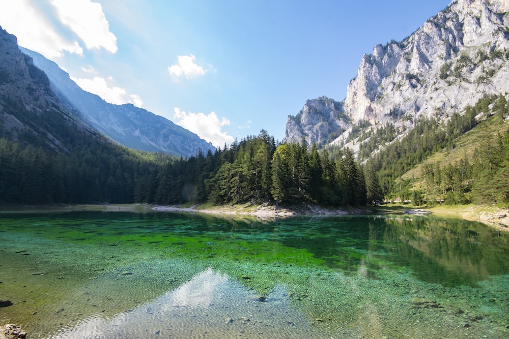 árboles verdes cerca del lago y la montaña bajo el cielo azul durante el día