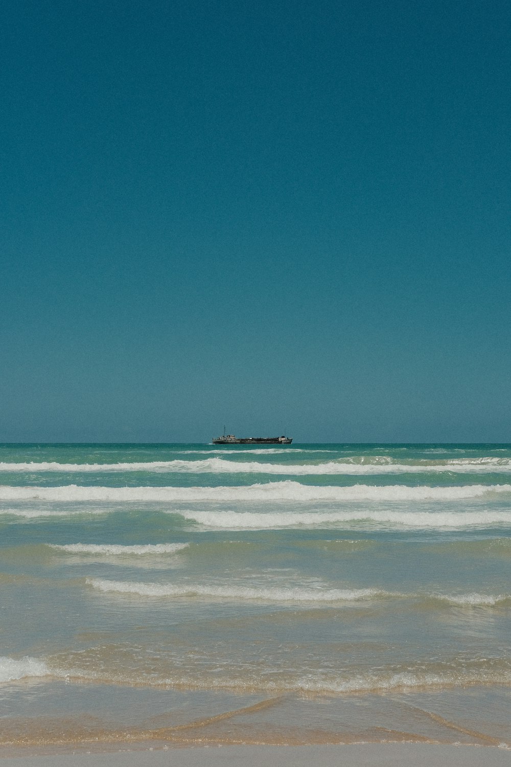 people on beach during daytime