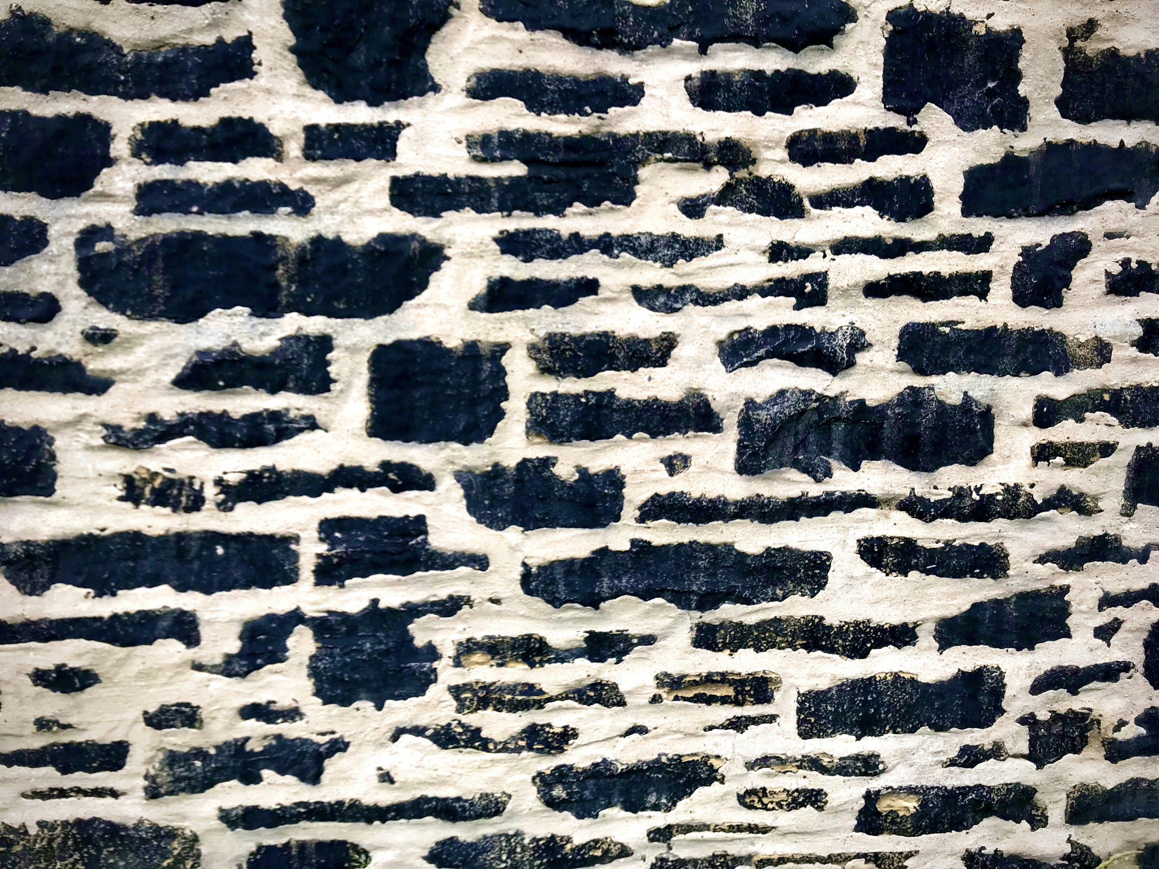 Photo by kittyhutchinson