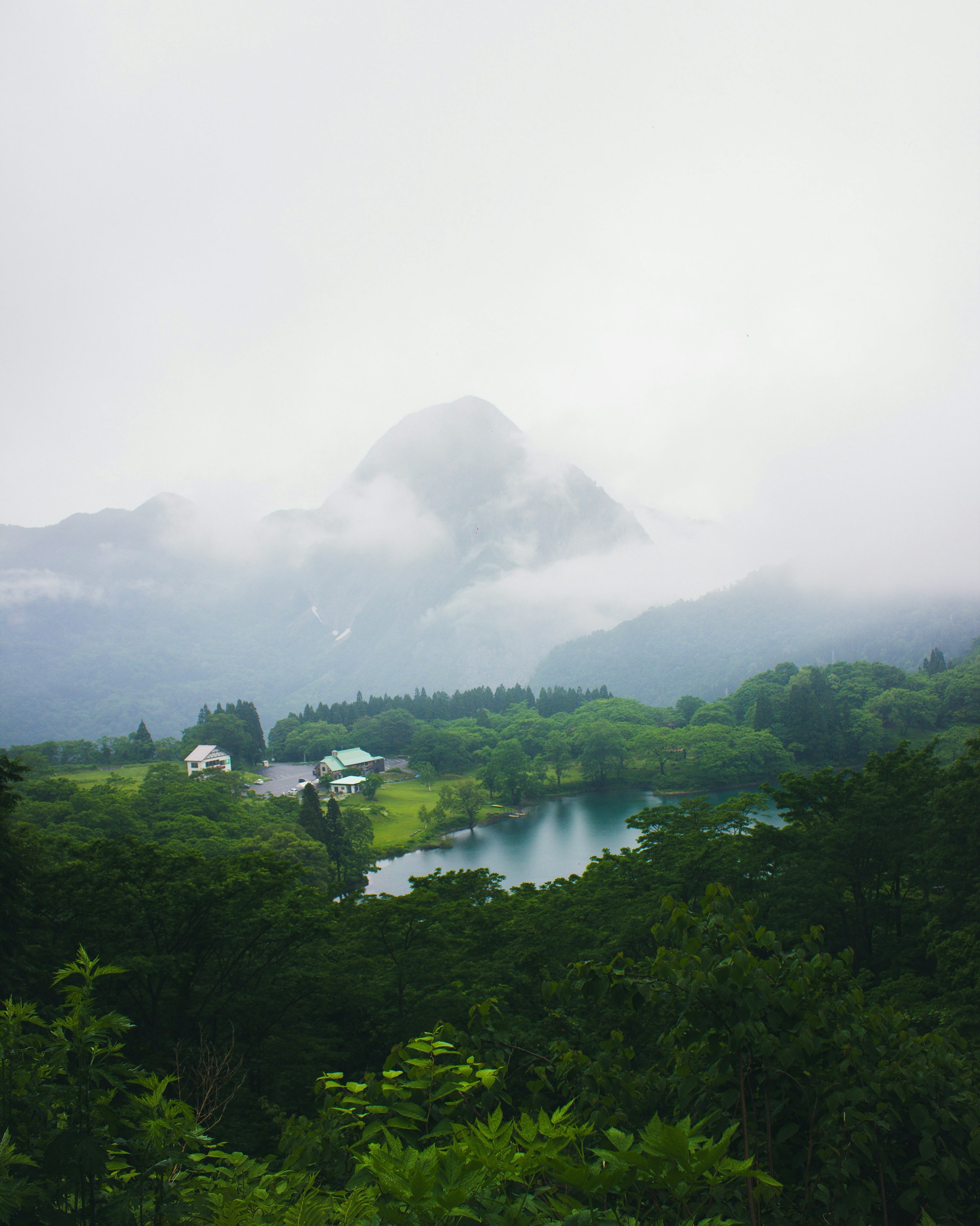 Exploring Niigata: A Traveler's Guide