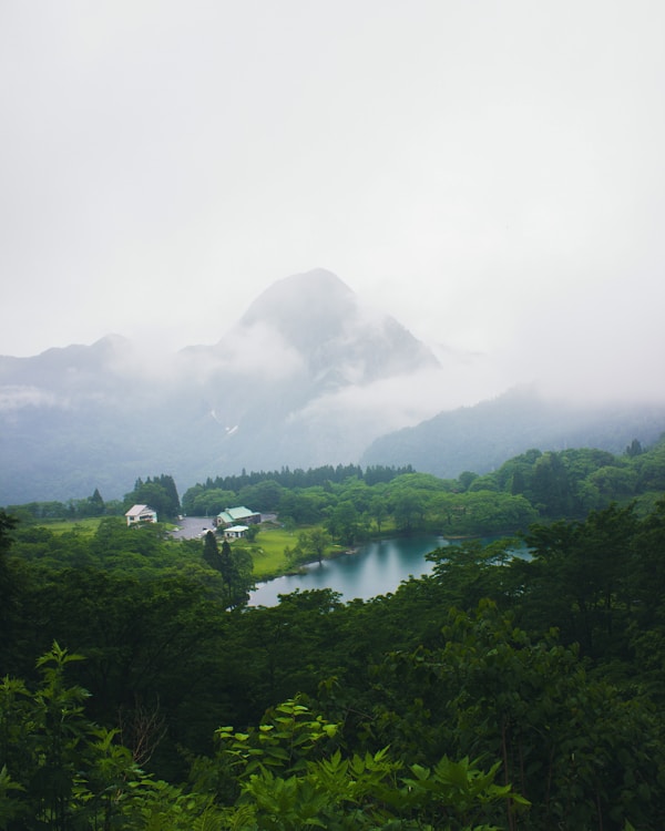 Exploring Niigata: A Traveler's Guide
