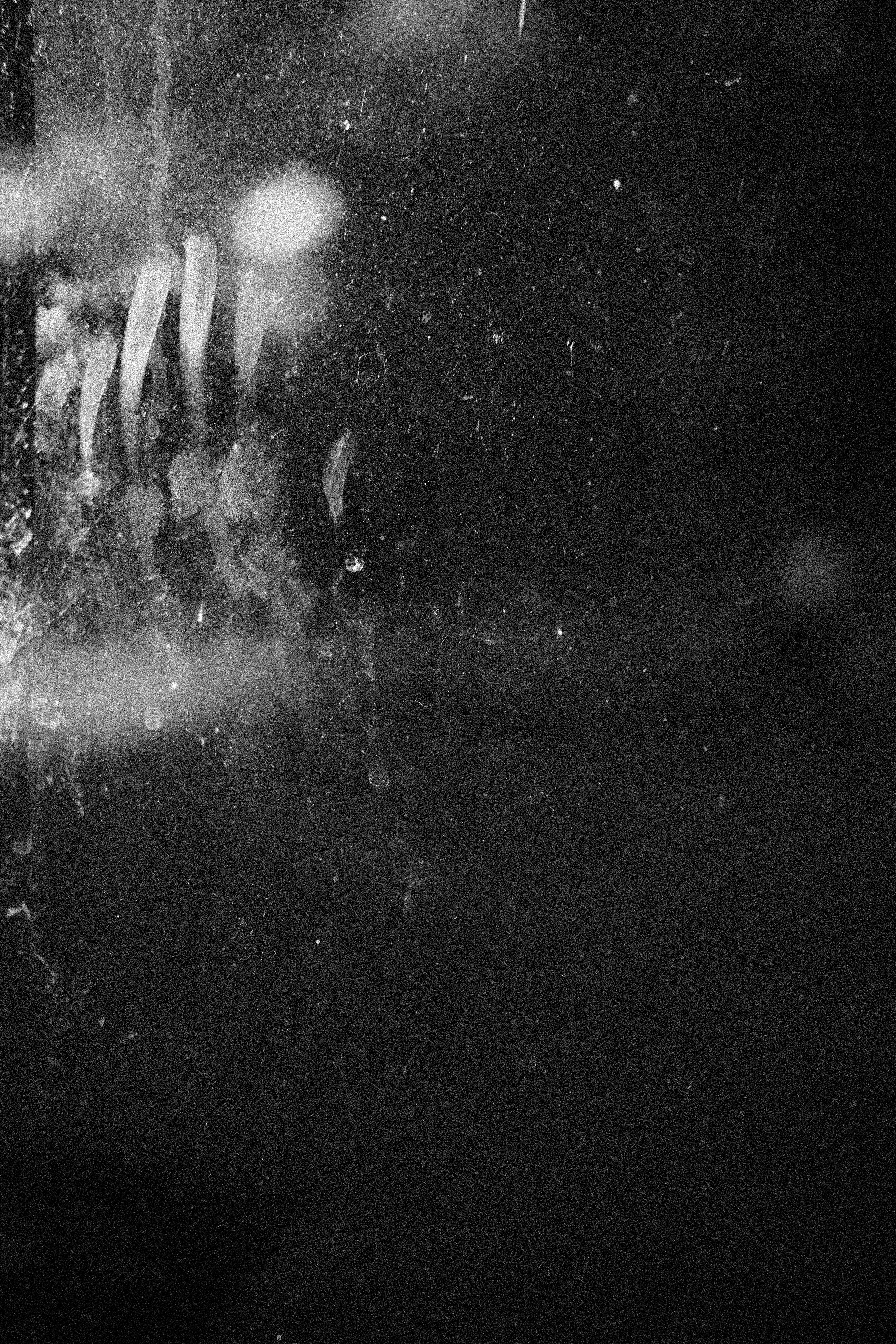 Photo by jacksharp_photography