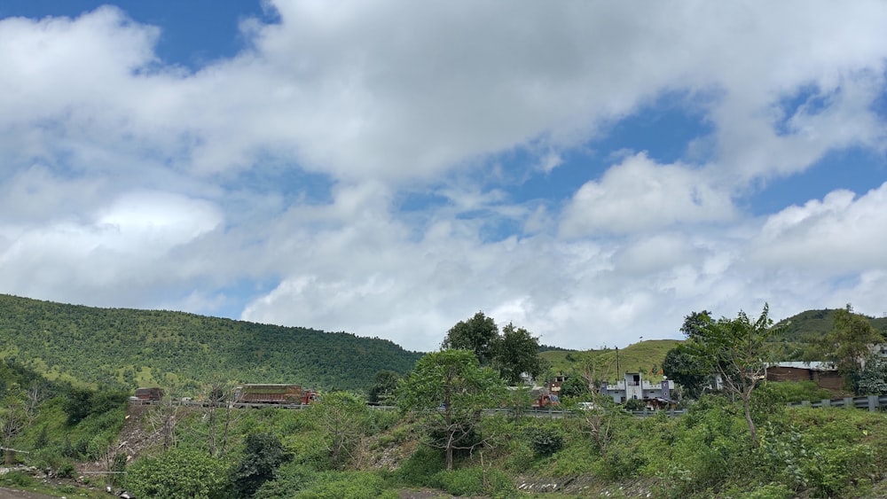 green trees under white clouds during daytime