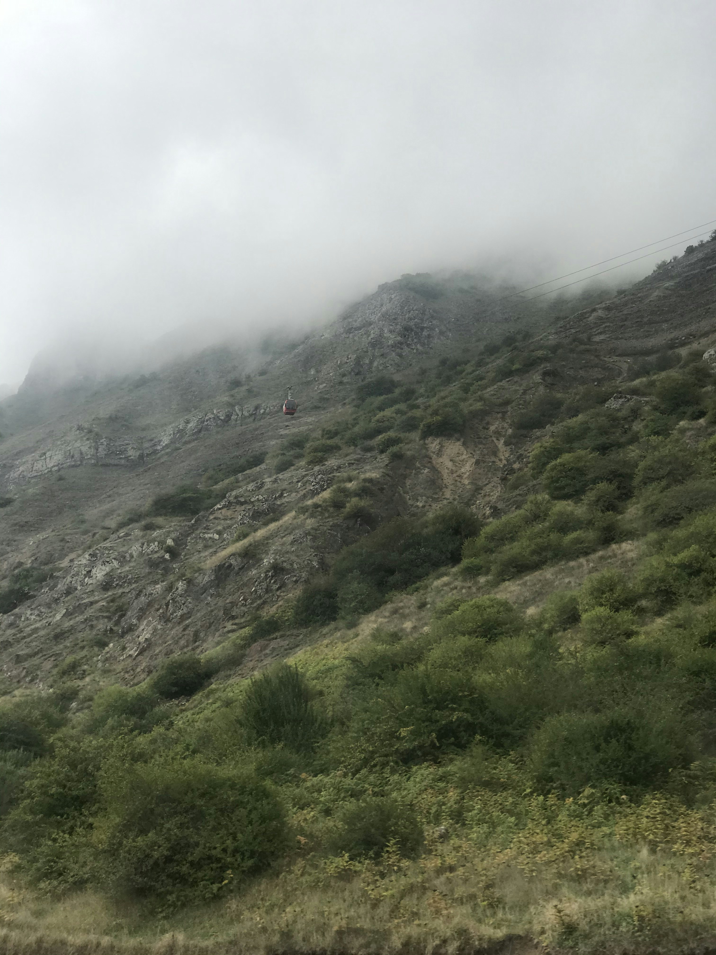 Photo by niushamaghboul