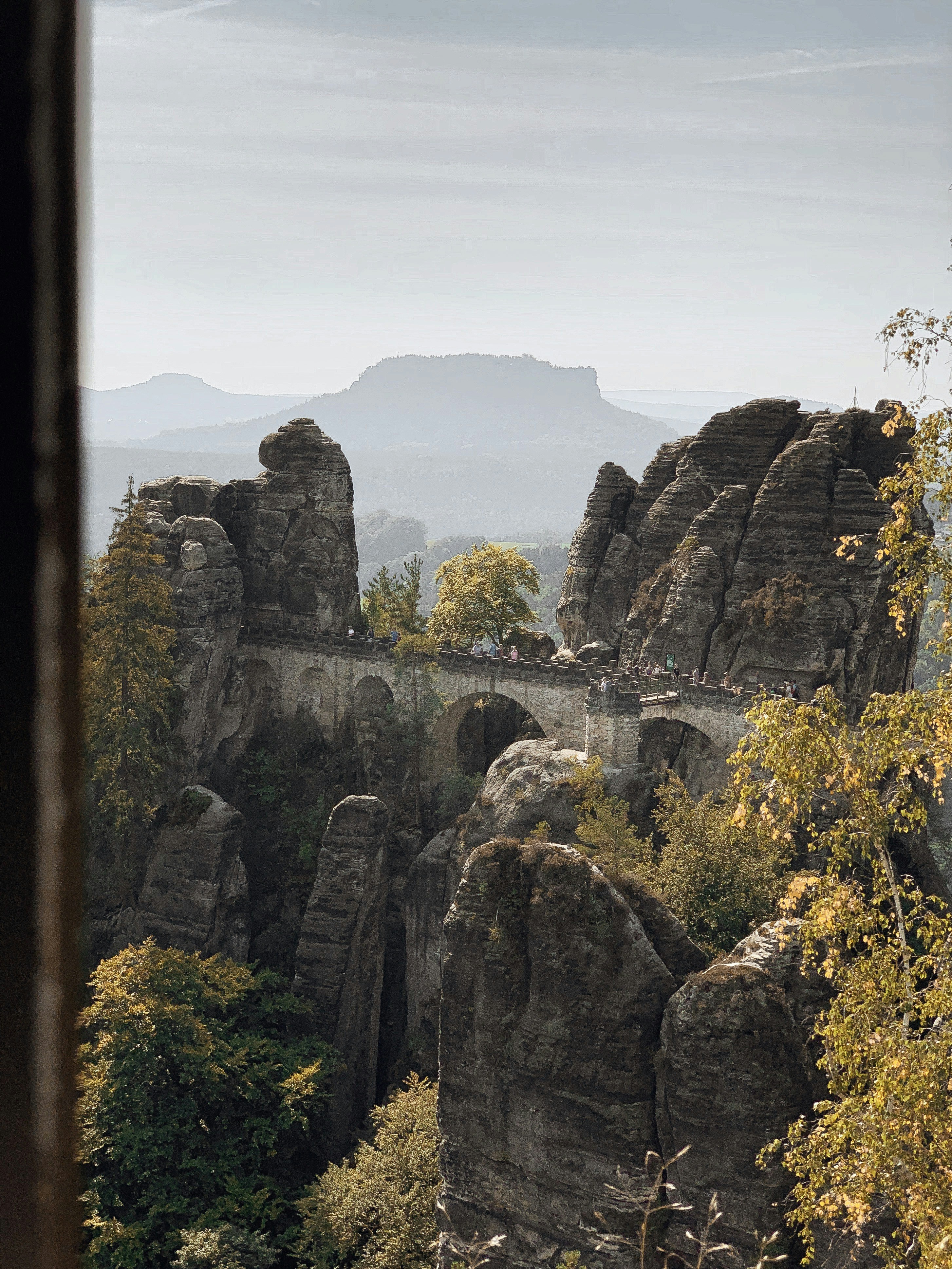 green trees on rocky mountain during daytime