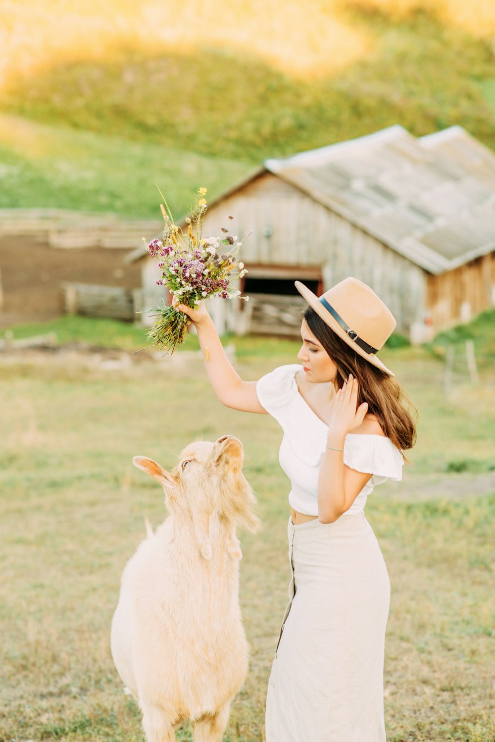 woman in white dress holding white long coated dog