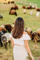 woman in white dress standing on green grass field with dogs during daytime