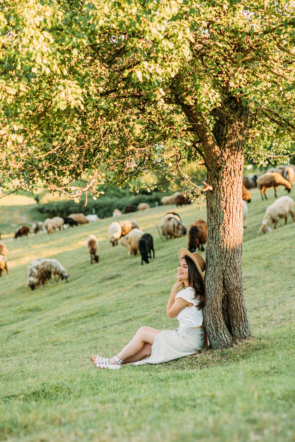 a woman sitting under a tree in a field