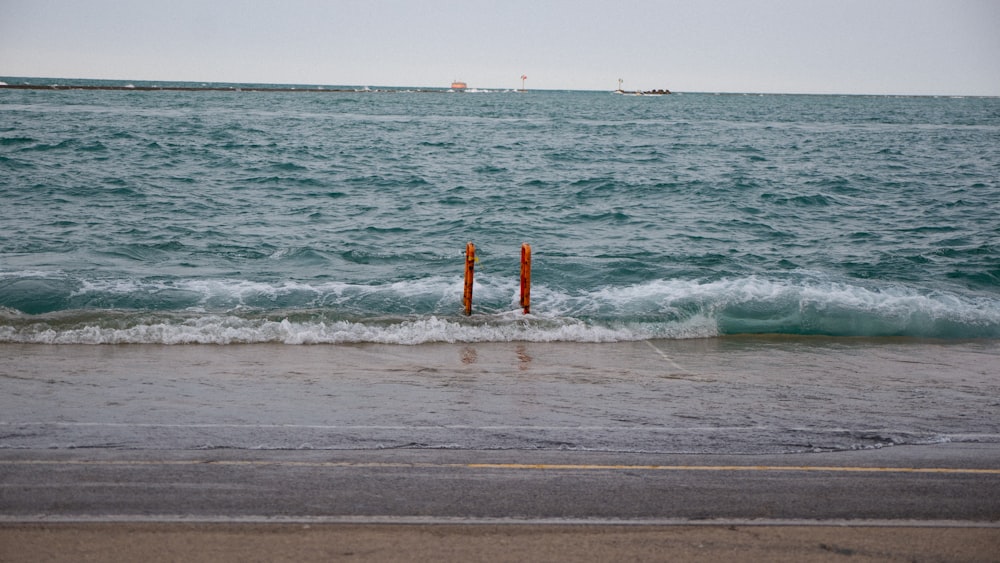 a view of a body of water from a beach