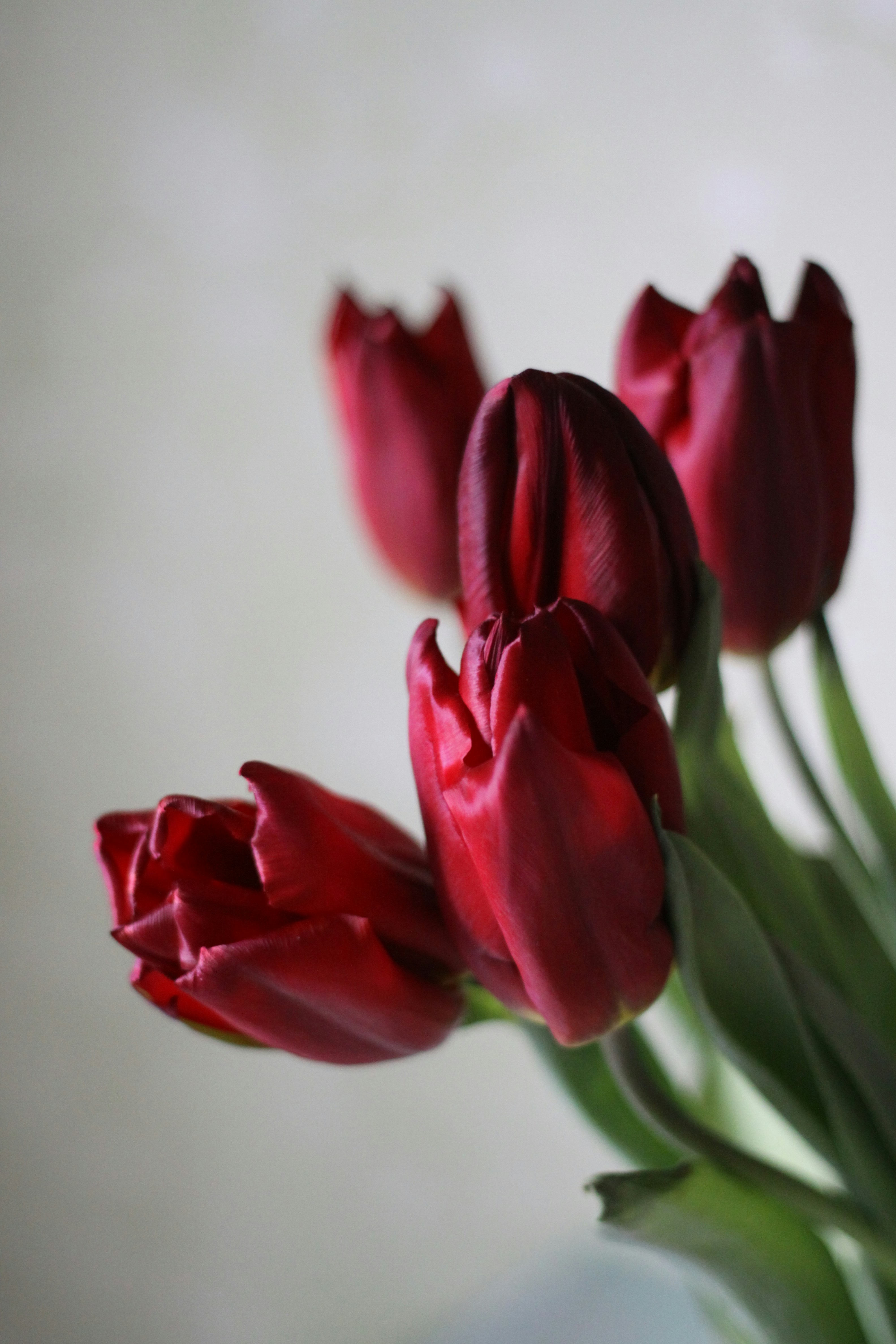 Photo by lilianflower