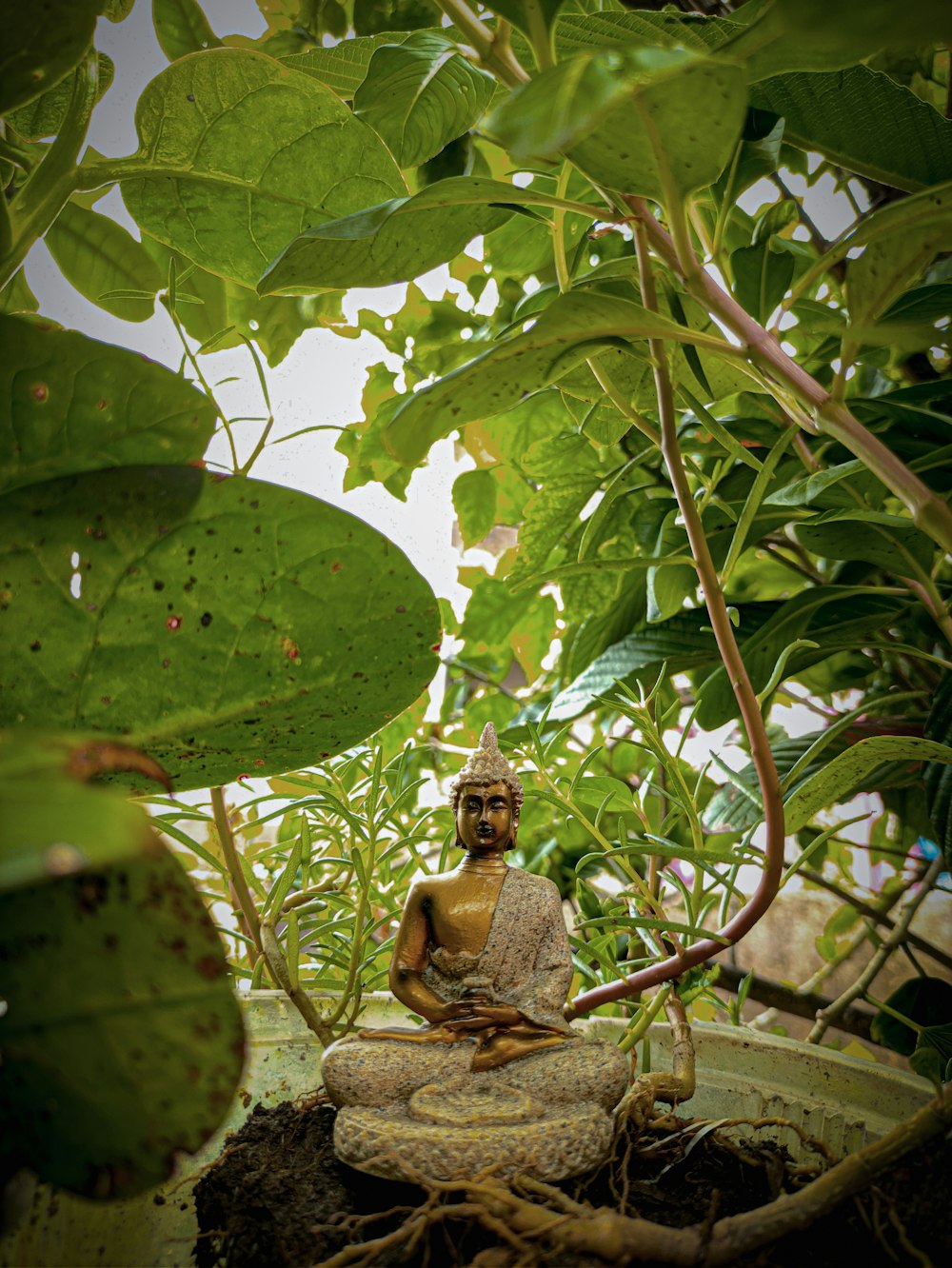 2 brown and white ceramic figurines on green leaves during daytime