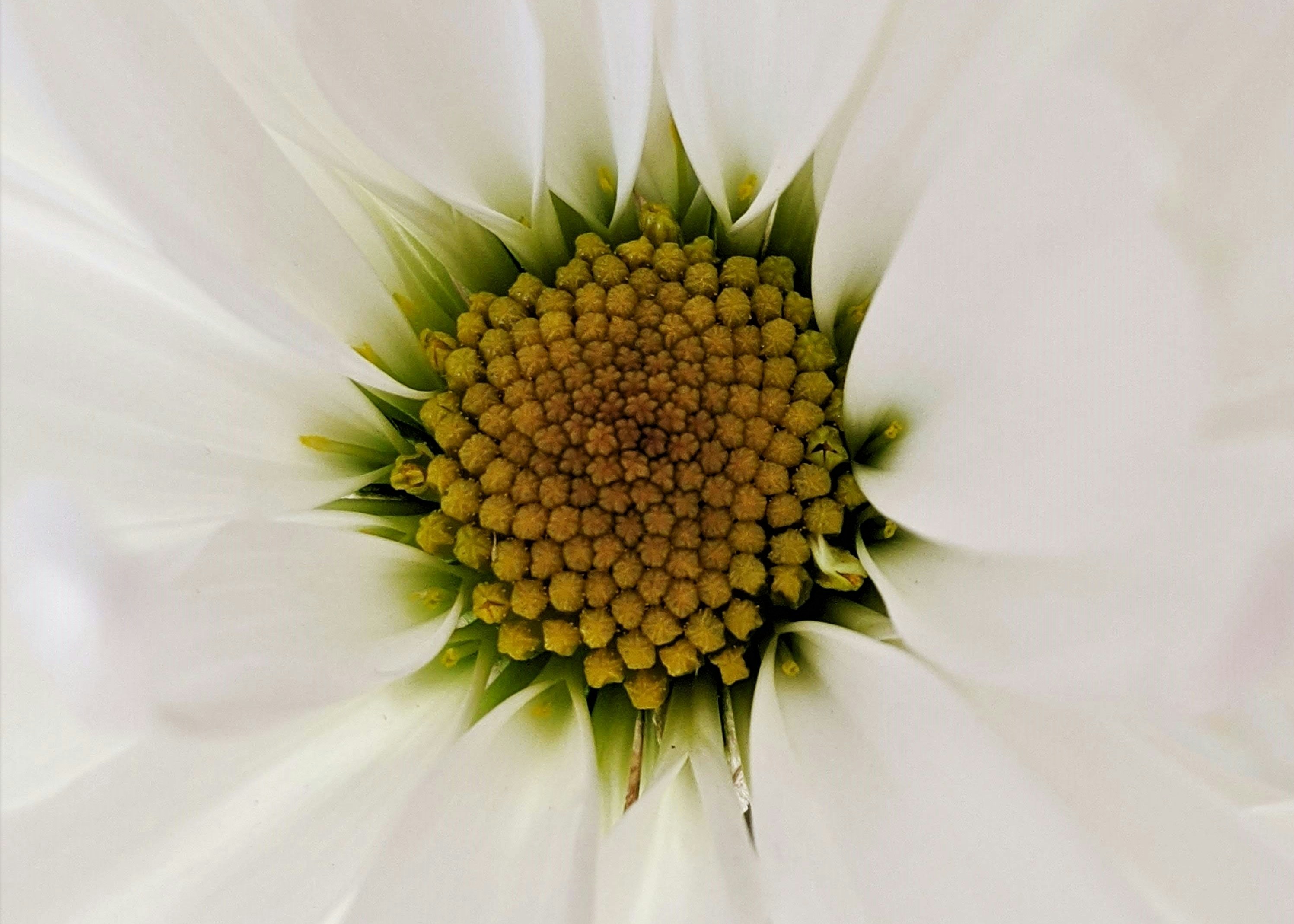 Photo by susan_wilkinson