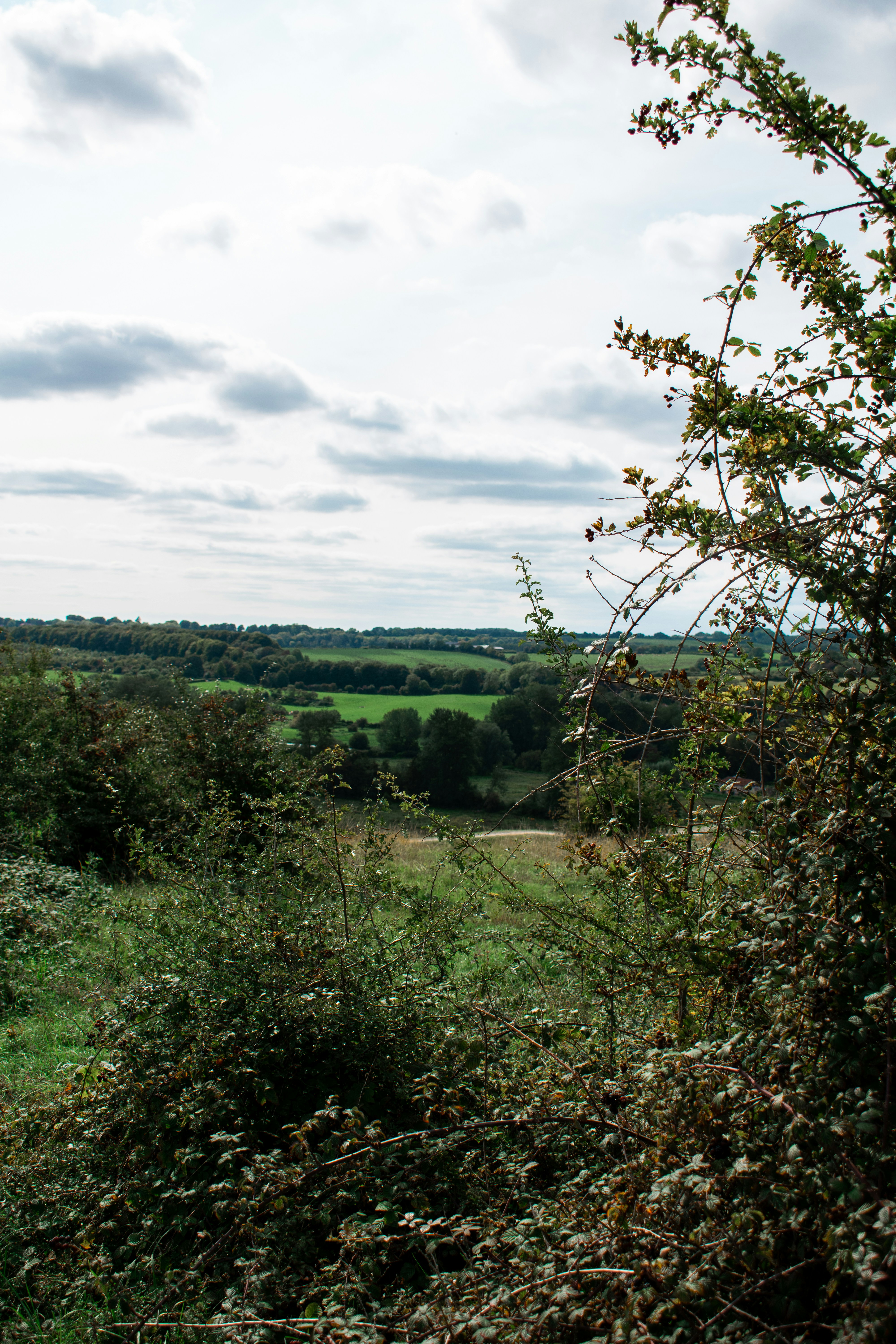 Photo by itsrobcoates