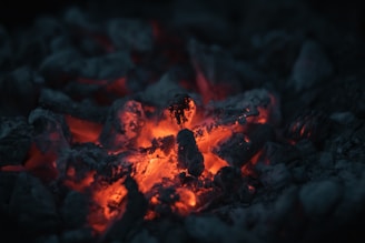 fire in the middle of the woods
