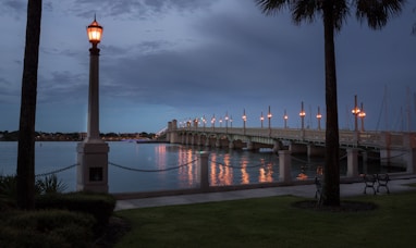 white and brown concrete building near body of water during night time