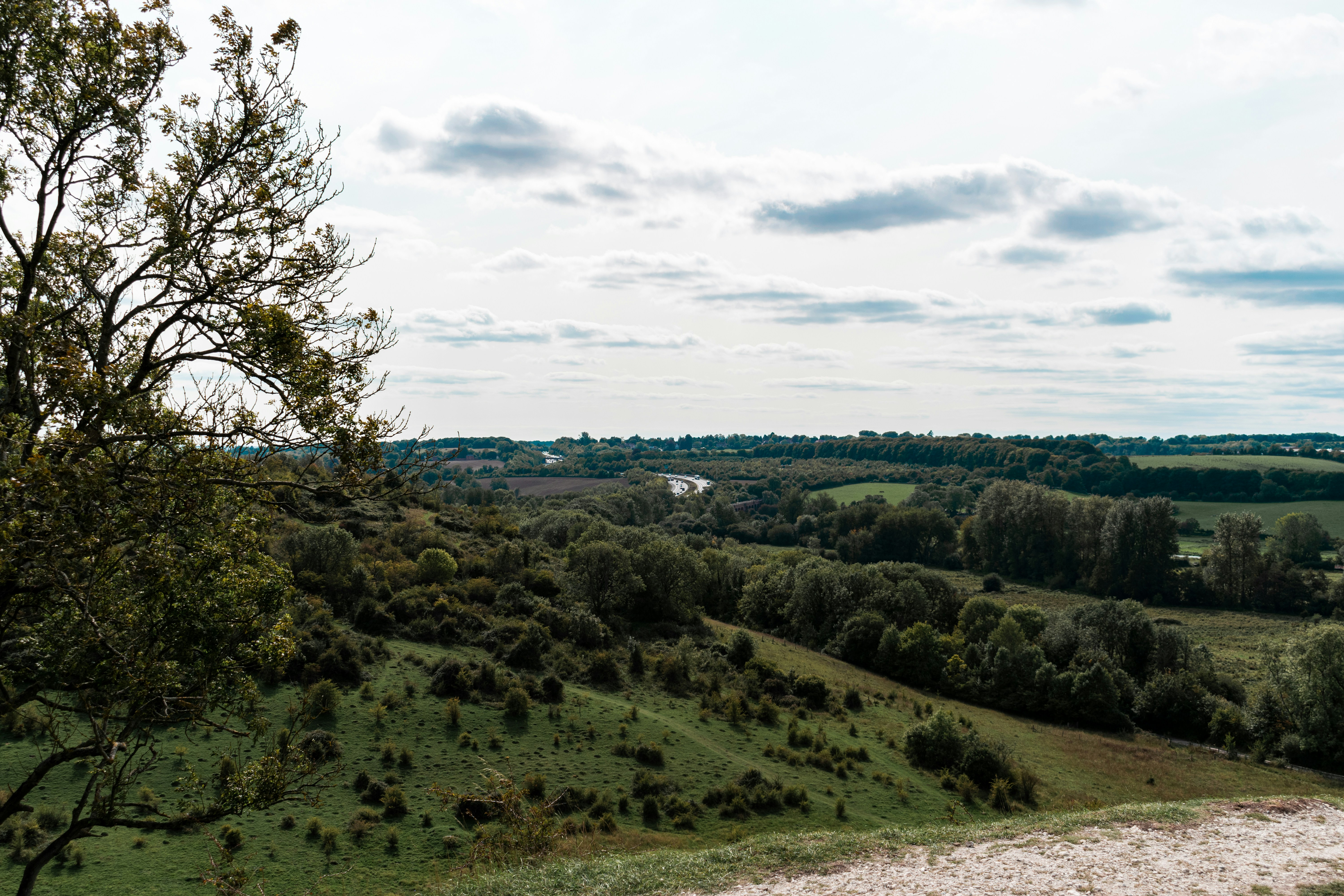 Photo by itsrobcoates