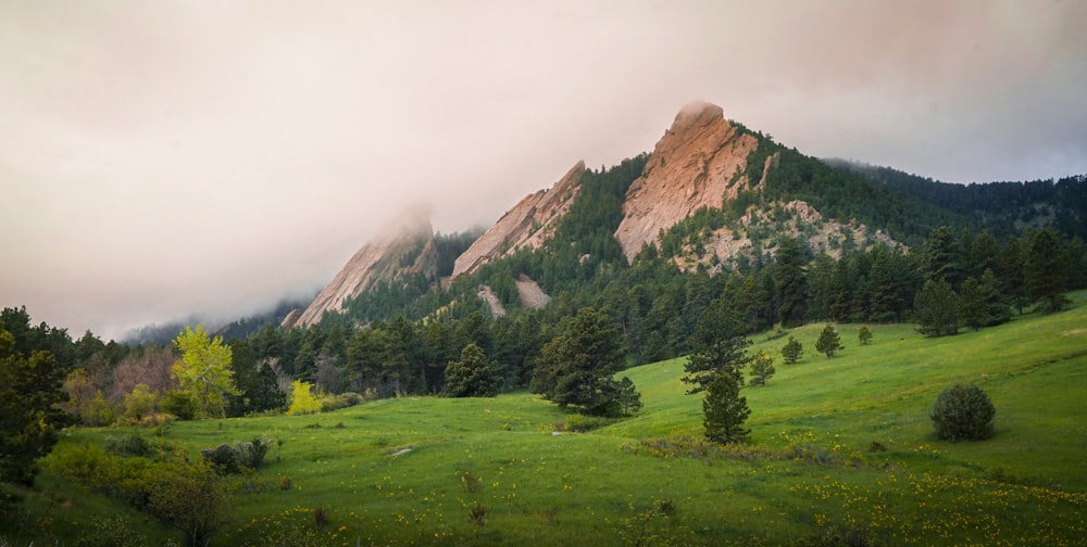 green grass field near brown mountain during daytime