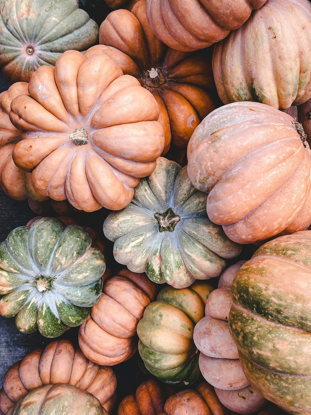 green and orange pumpkin on gray textile