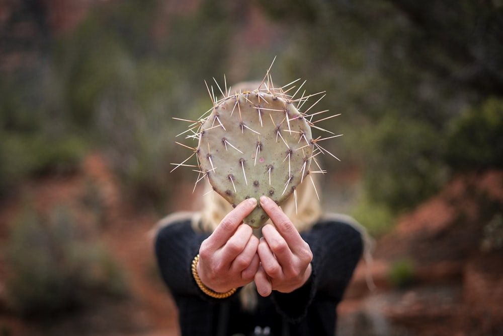 person holding white dandelion flower