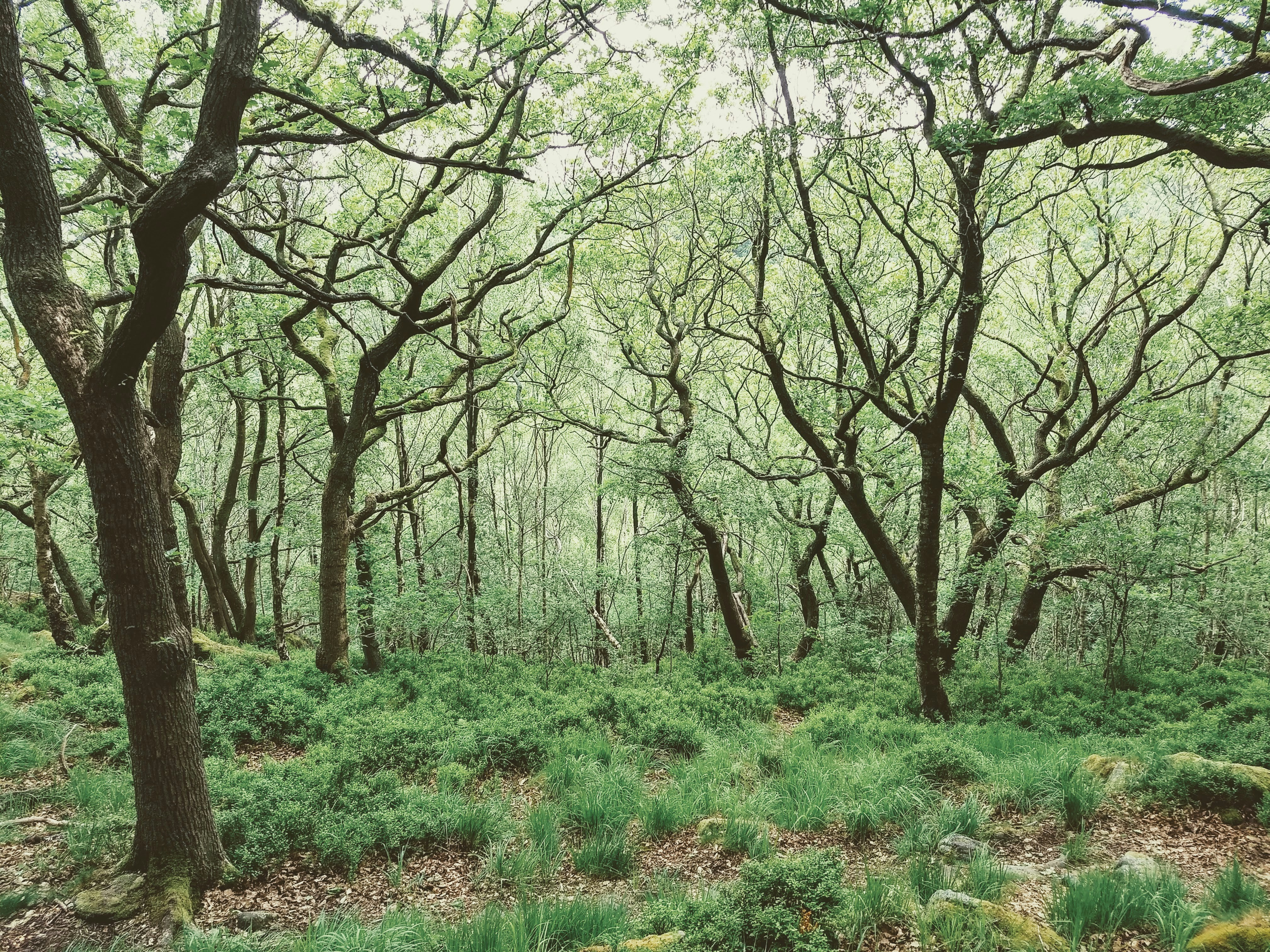 Photo by danielhulme