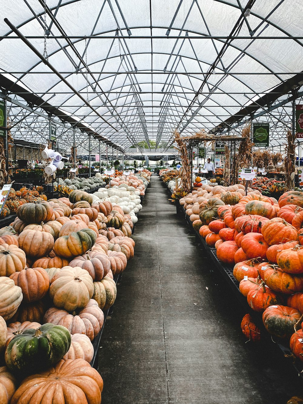a large room filled with lots of different types of pumpkins
