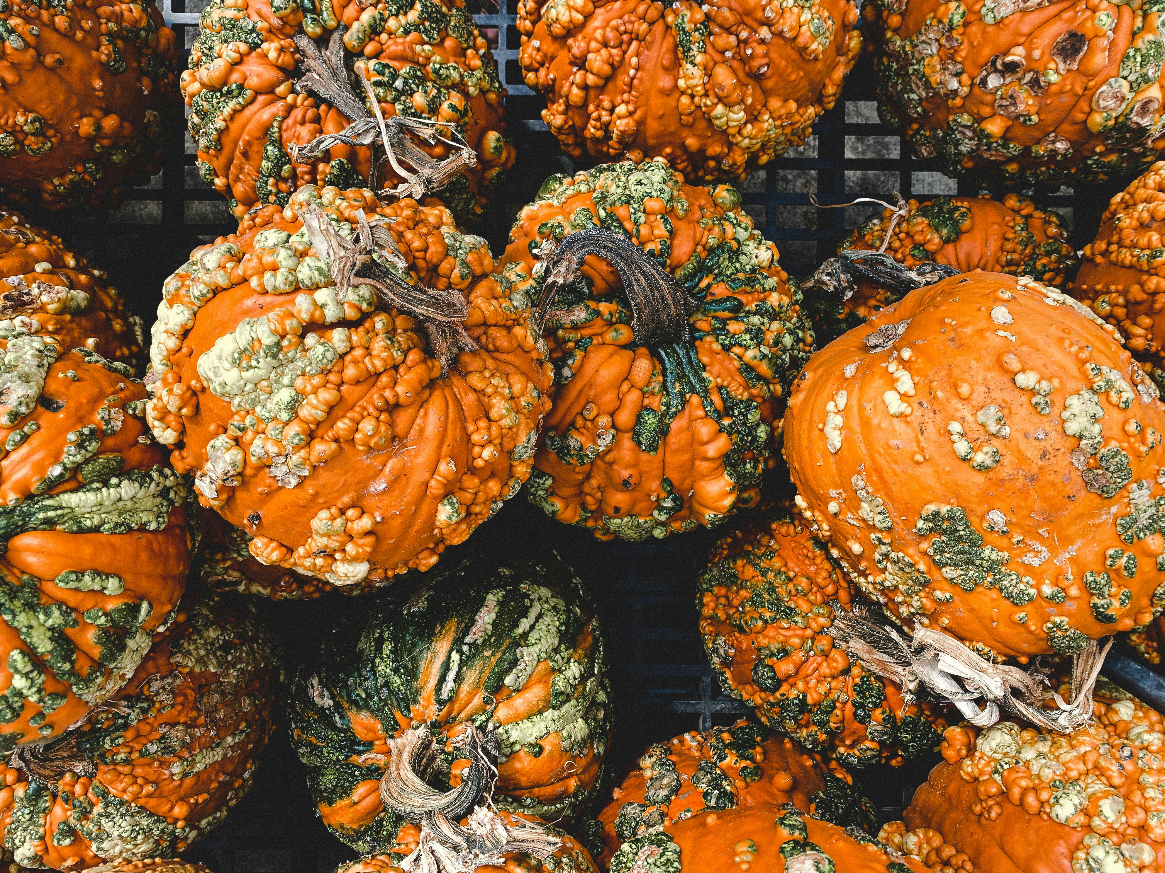 orange and green pumpkin vegetables
