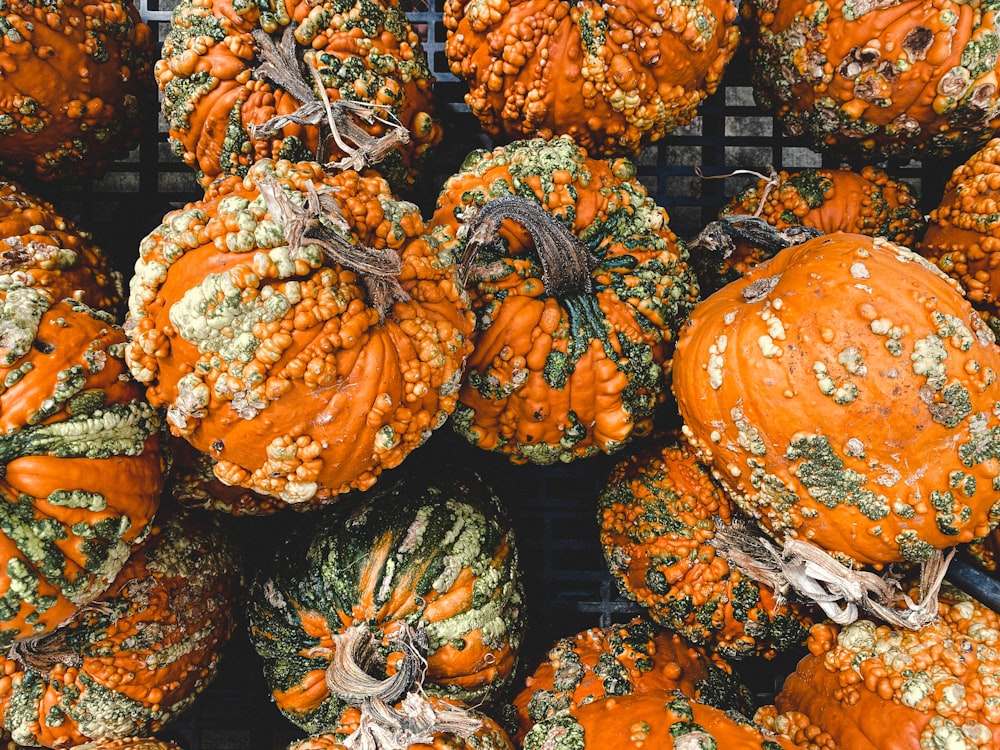 orange and green pumpkin vegetables