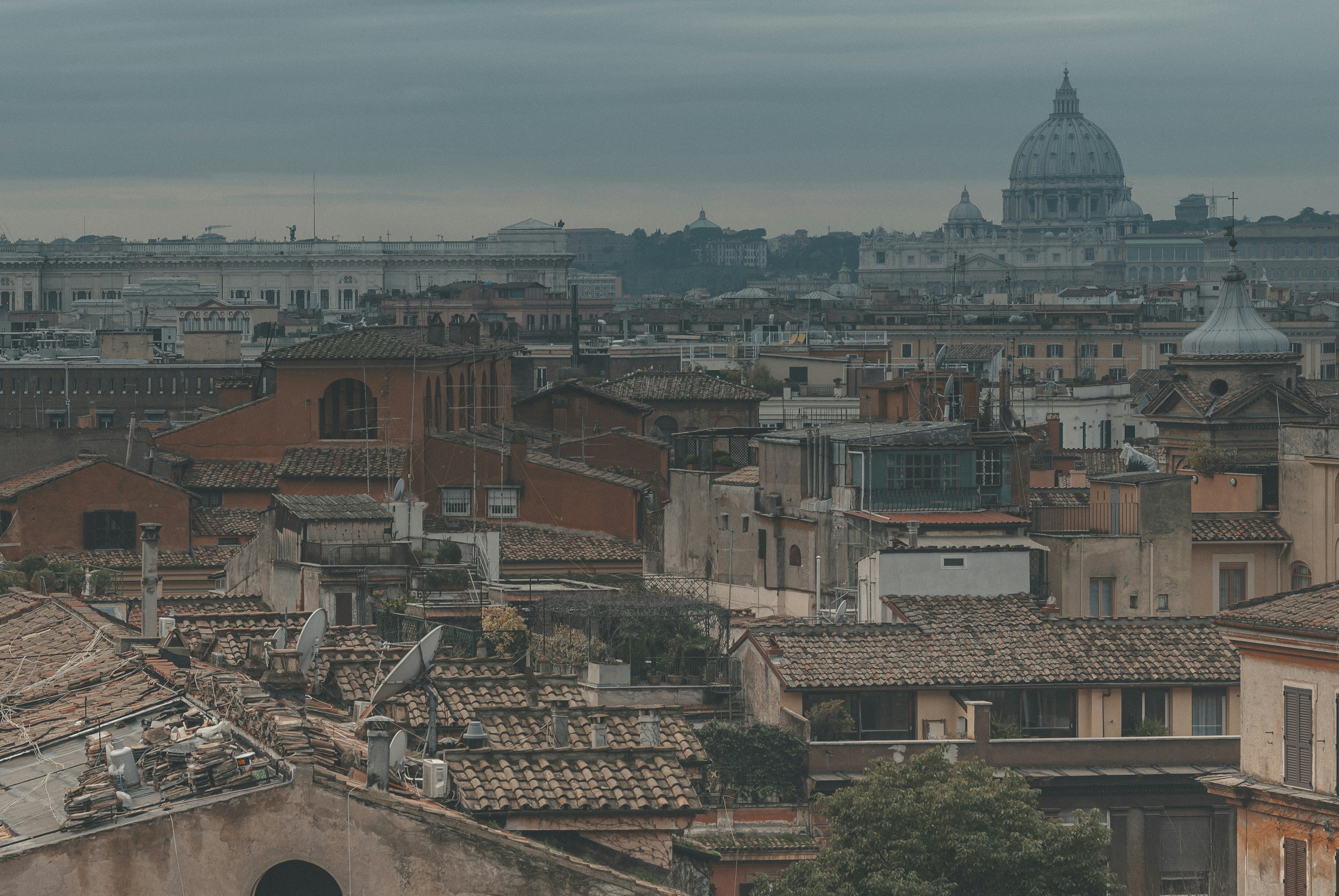 Photo by vonshnauzer