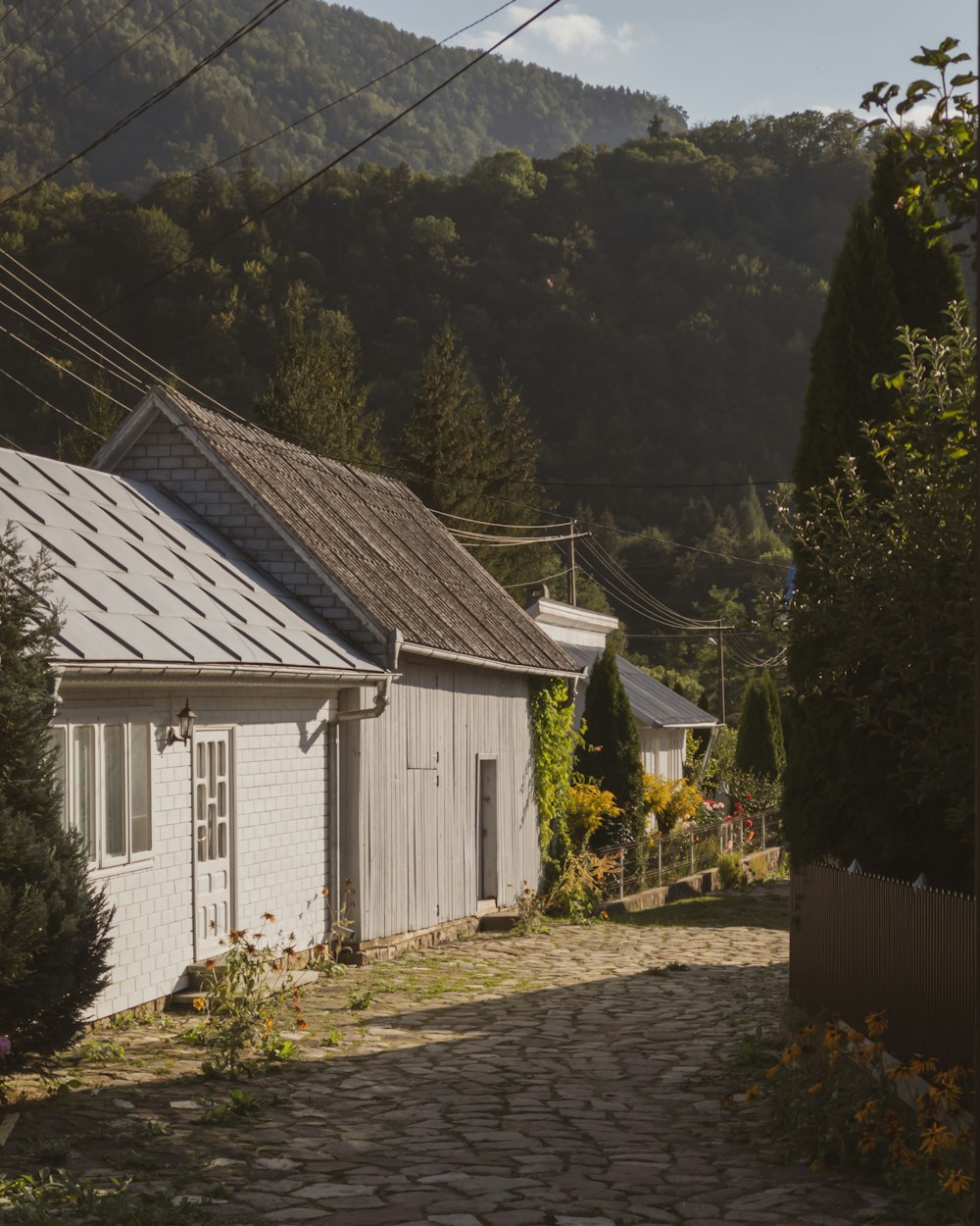 white wooden house near green trees during daytime