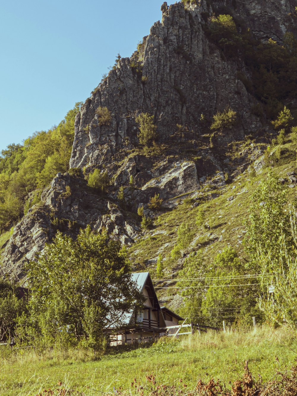 brown wooden house on green grass field near mountain during daytime