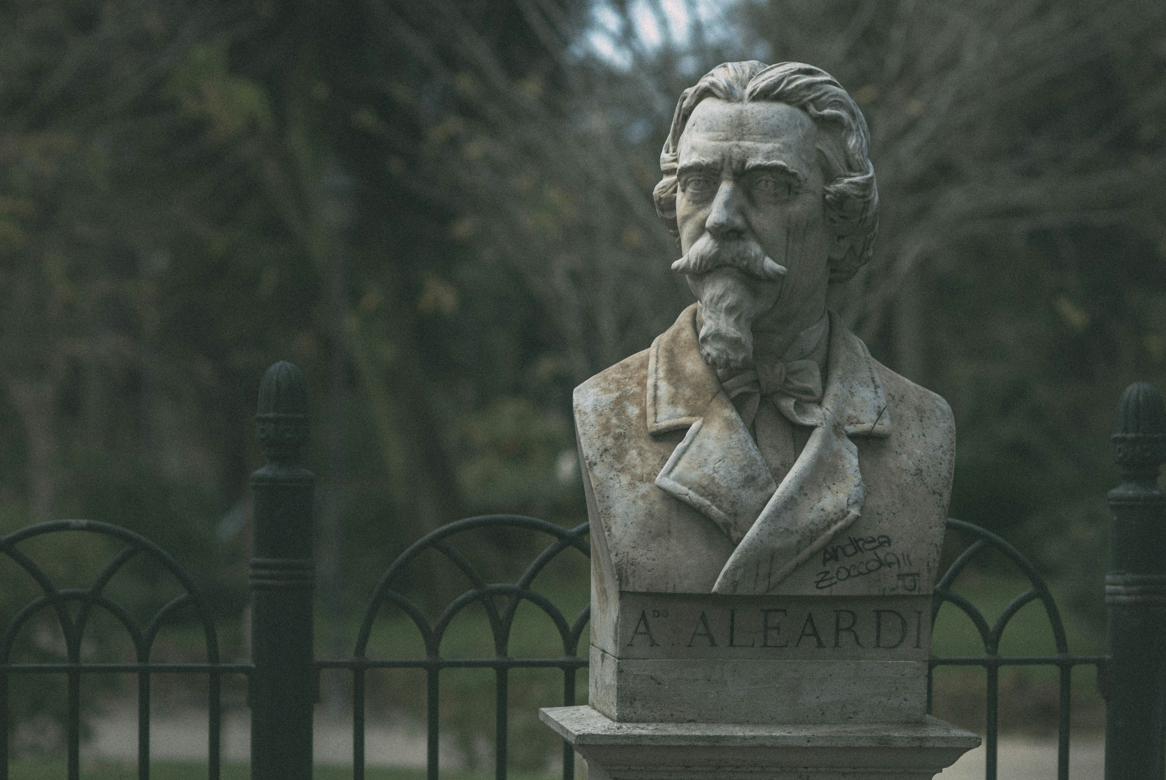 Photo by vonshnauzer