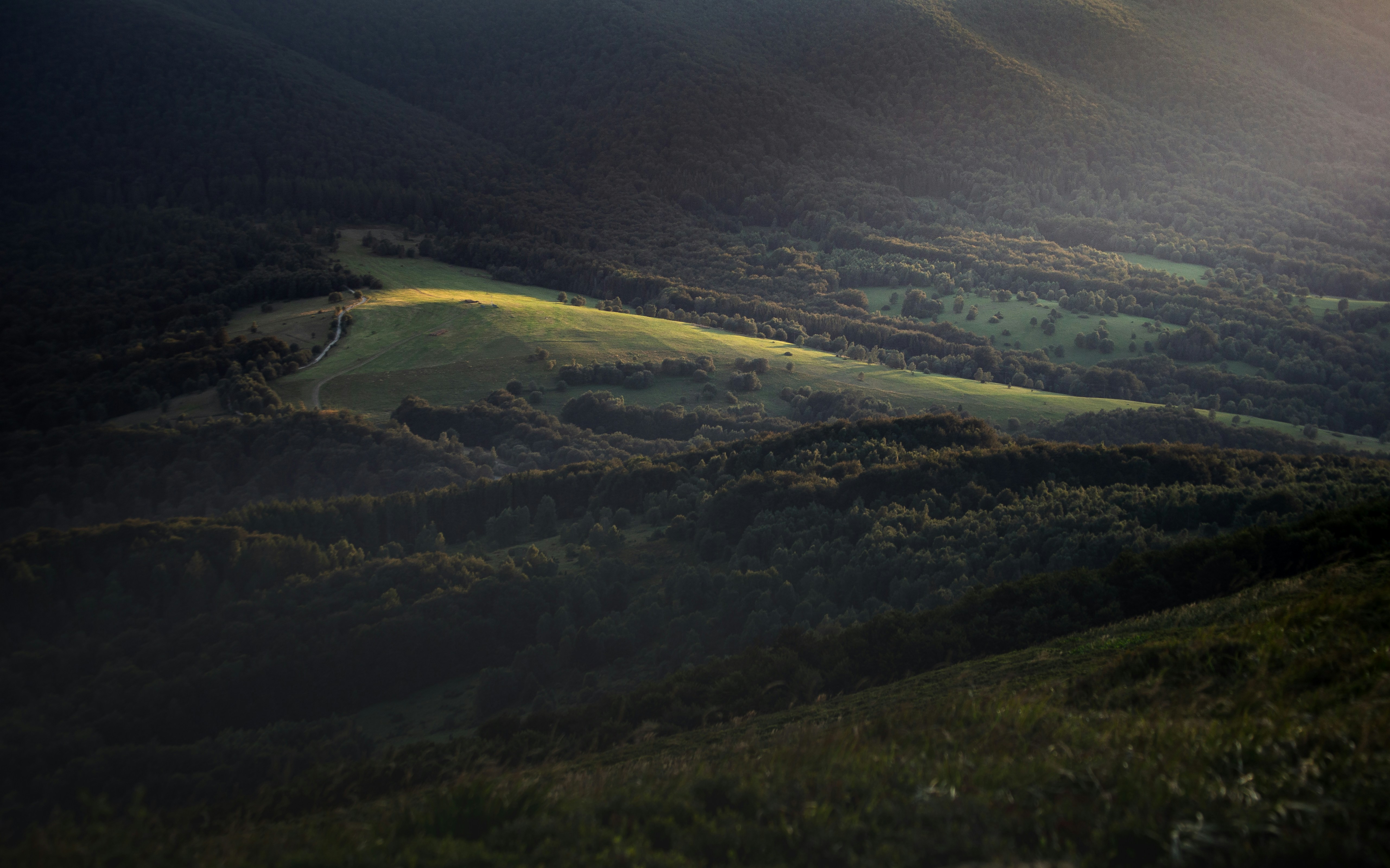 Photo by marekpiwnicki