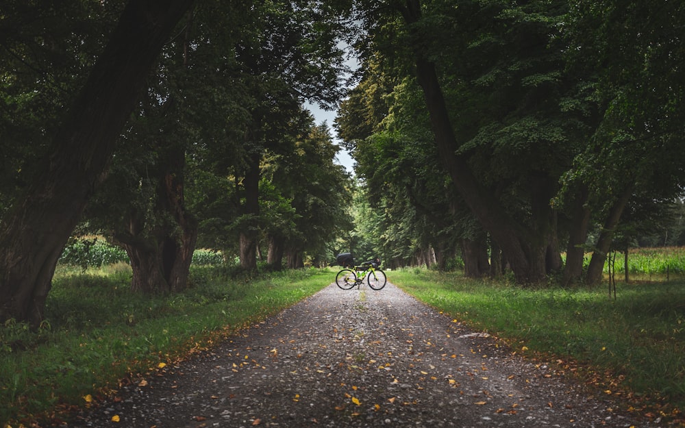Bicicleta negra en el camino entre árboles verdes durante el día