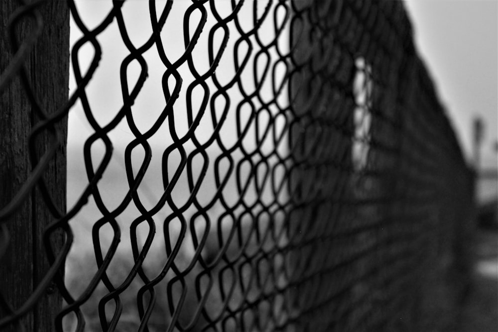 grey scale photo of chain link fence