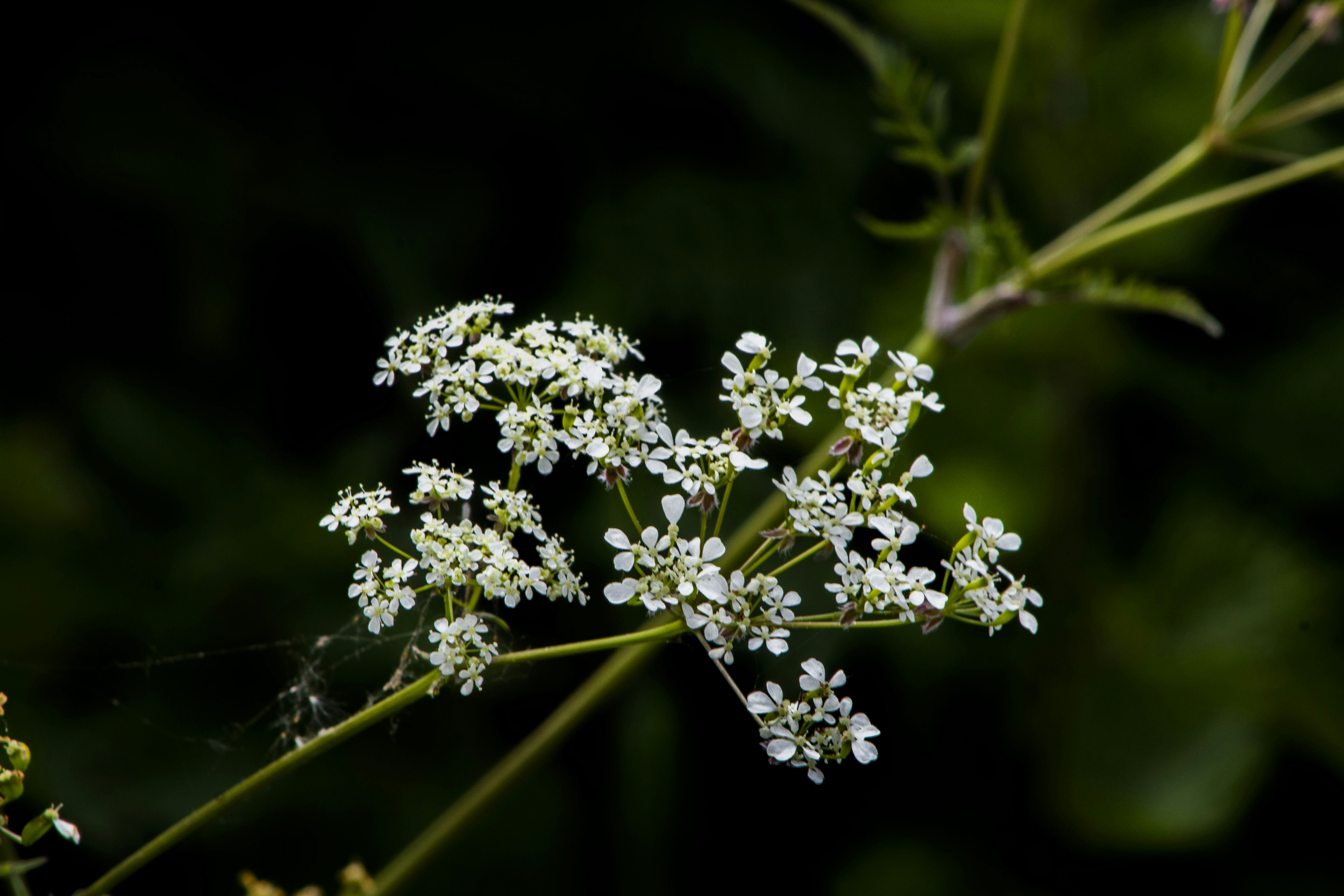 Photo by ellabaxter20201