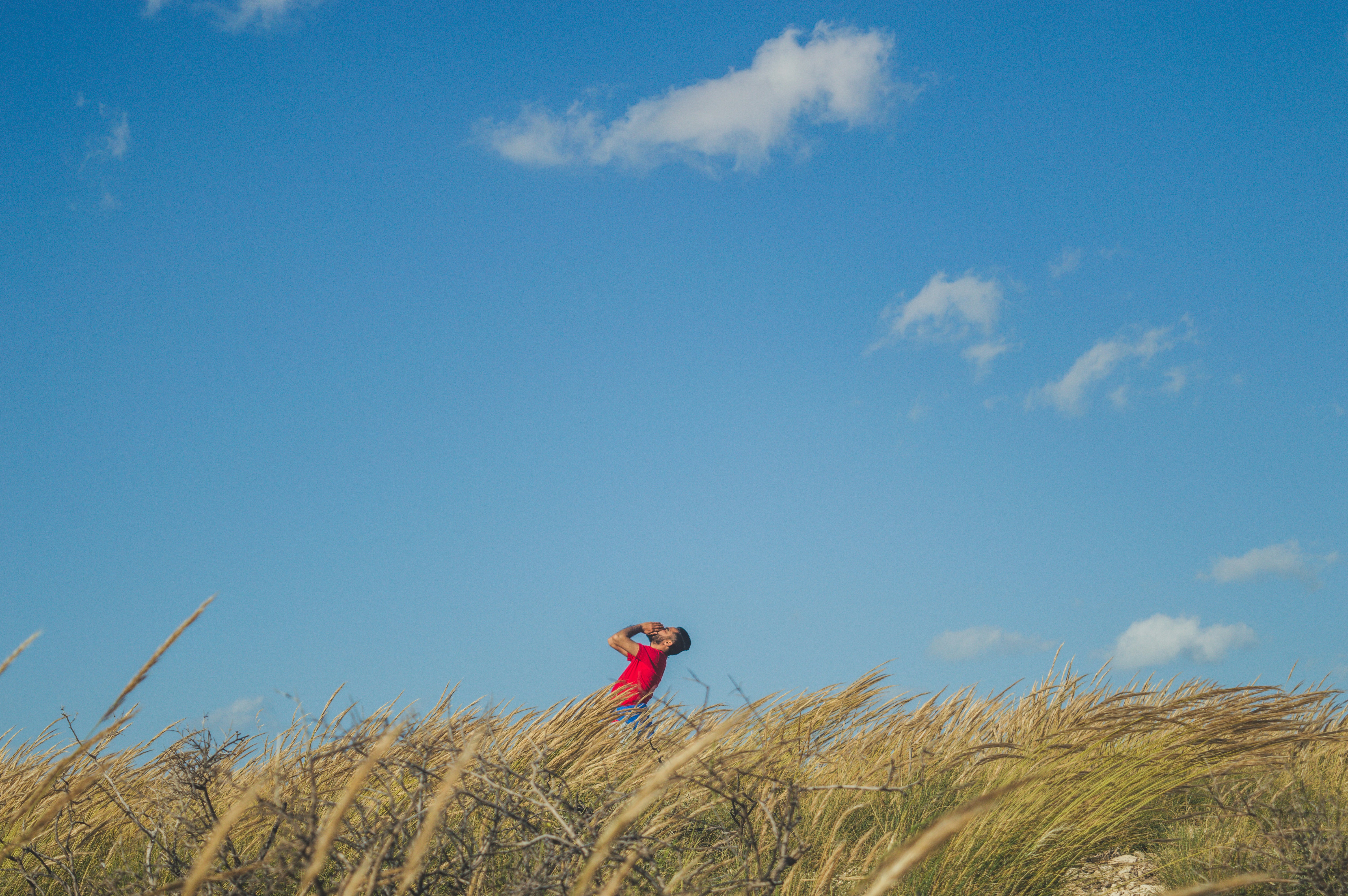 Photo by chermitovee