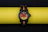A vibrant Swatch Pop watch displayed on a bright, patterned background.