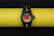 A vibrant Swatch Pop watch displayed on a bright, patterned background.