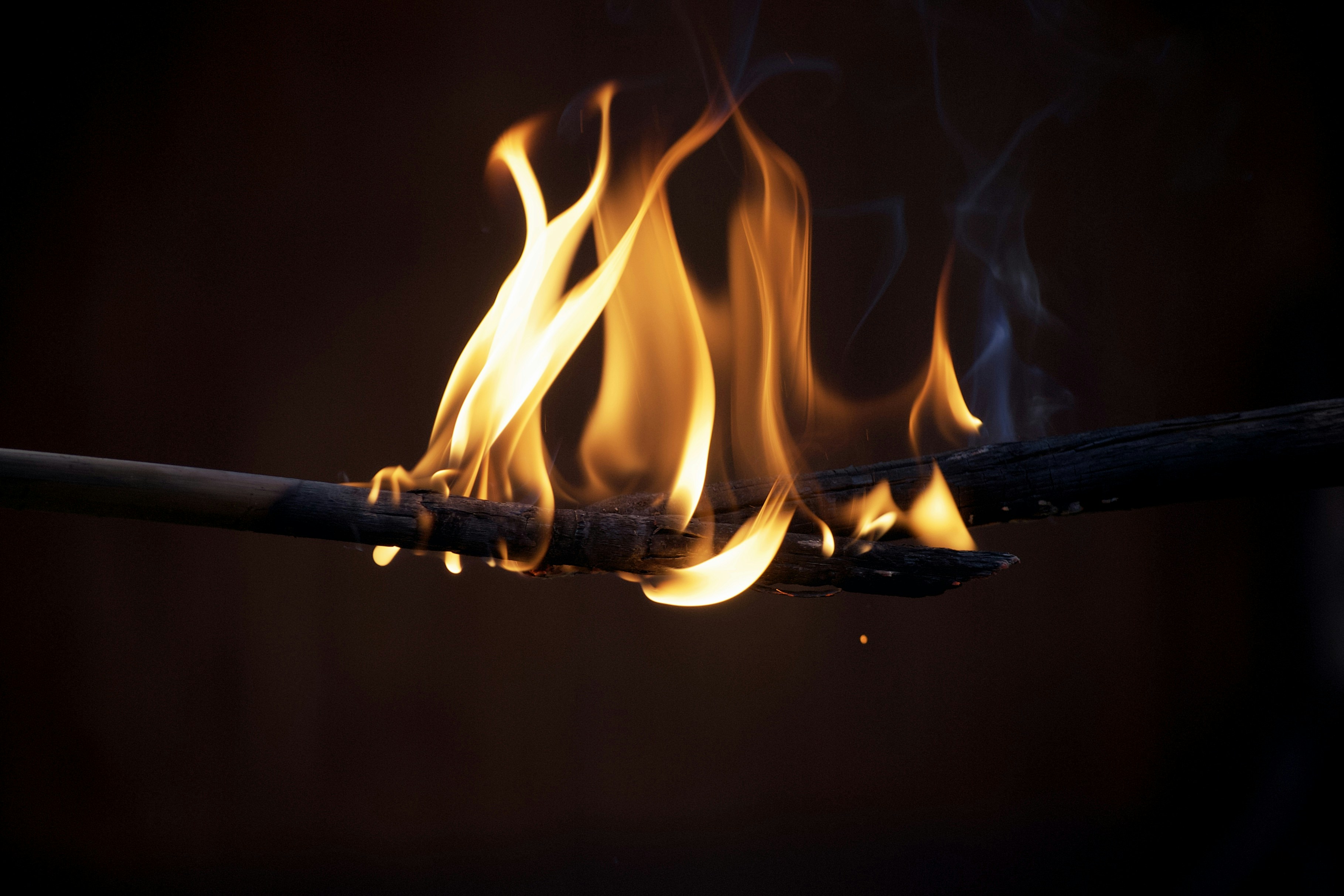 Photo by sinusfiction