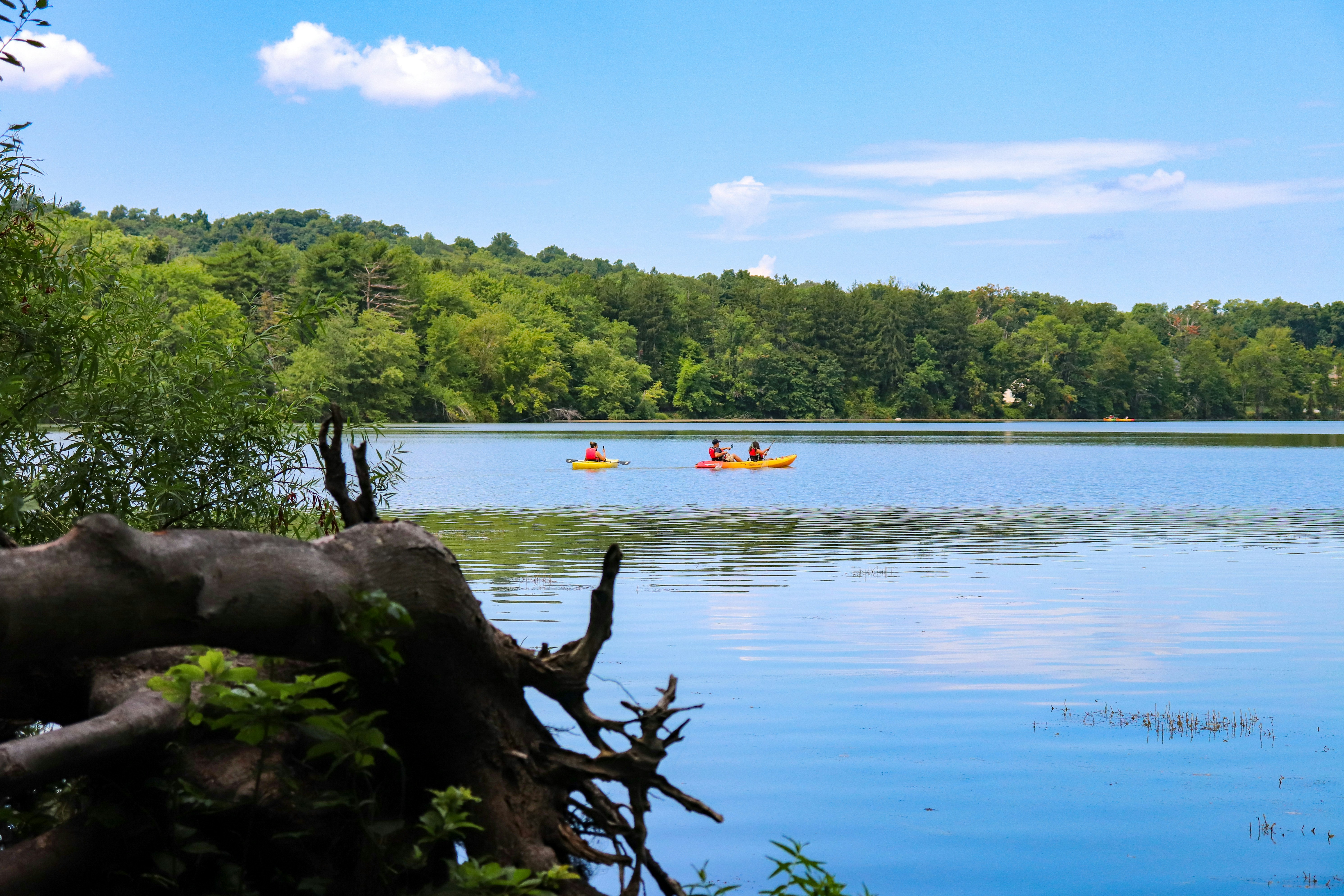 body of water near green trees during daytime