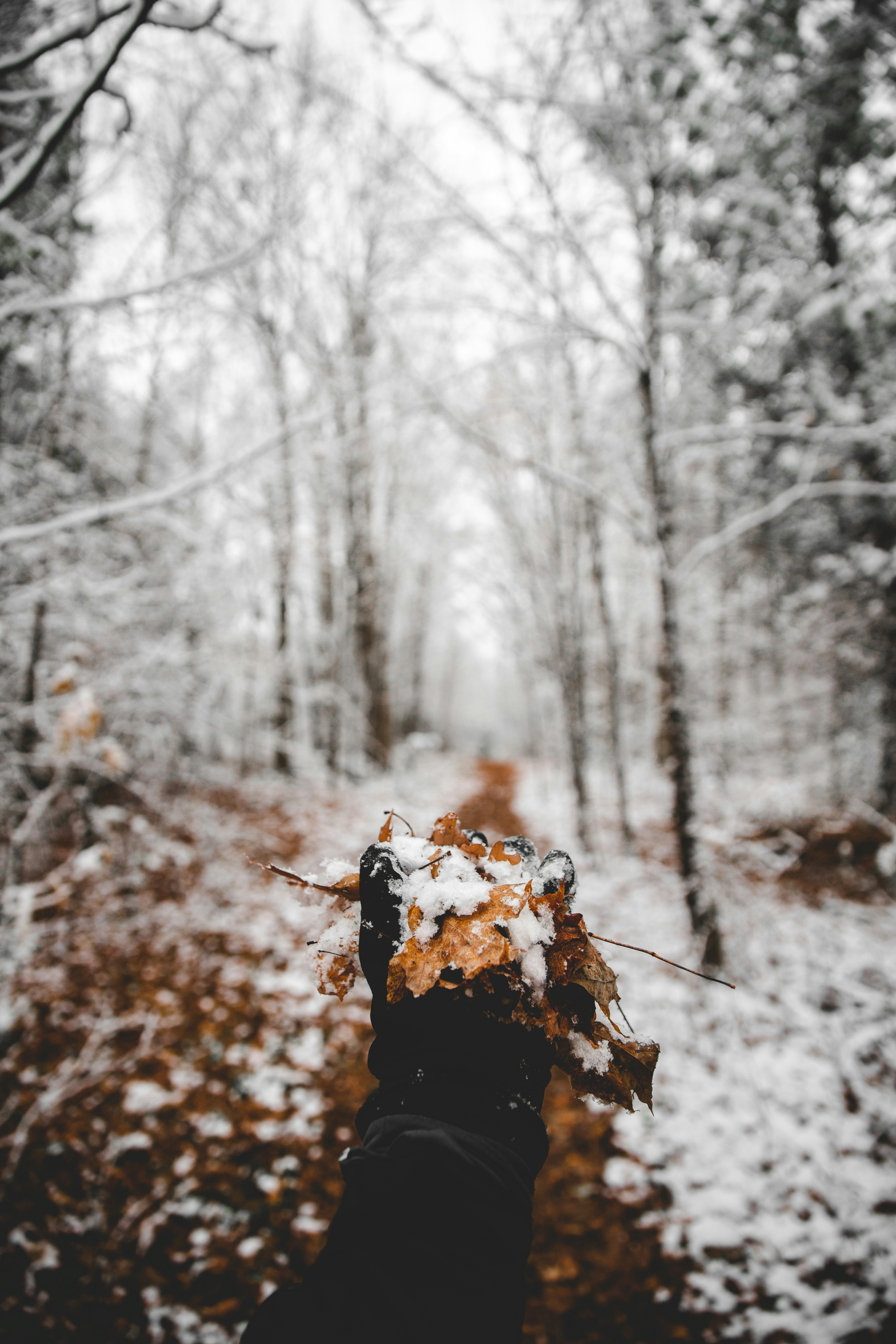 How To Start Your Cold Plunge Lifestyle