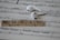 White earphones rest on sheet music with musical notes, accompanied by Scrabble tiles spelling out the word MUSIC.