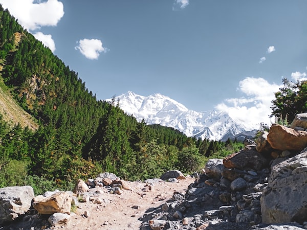 Fairy Meadows