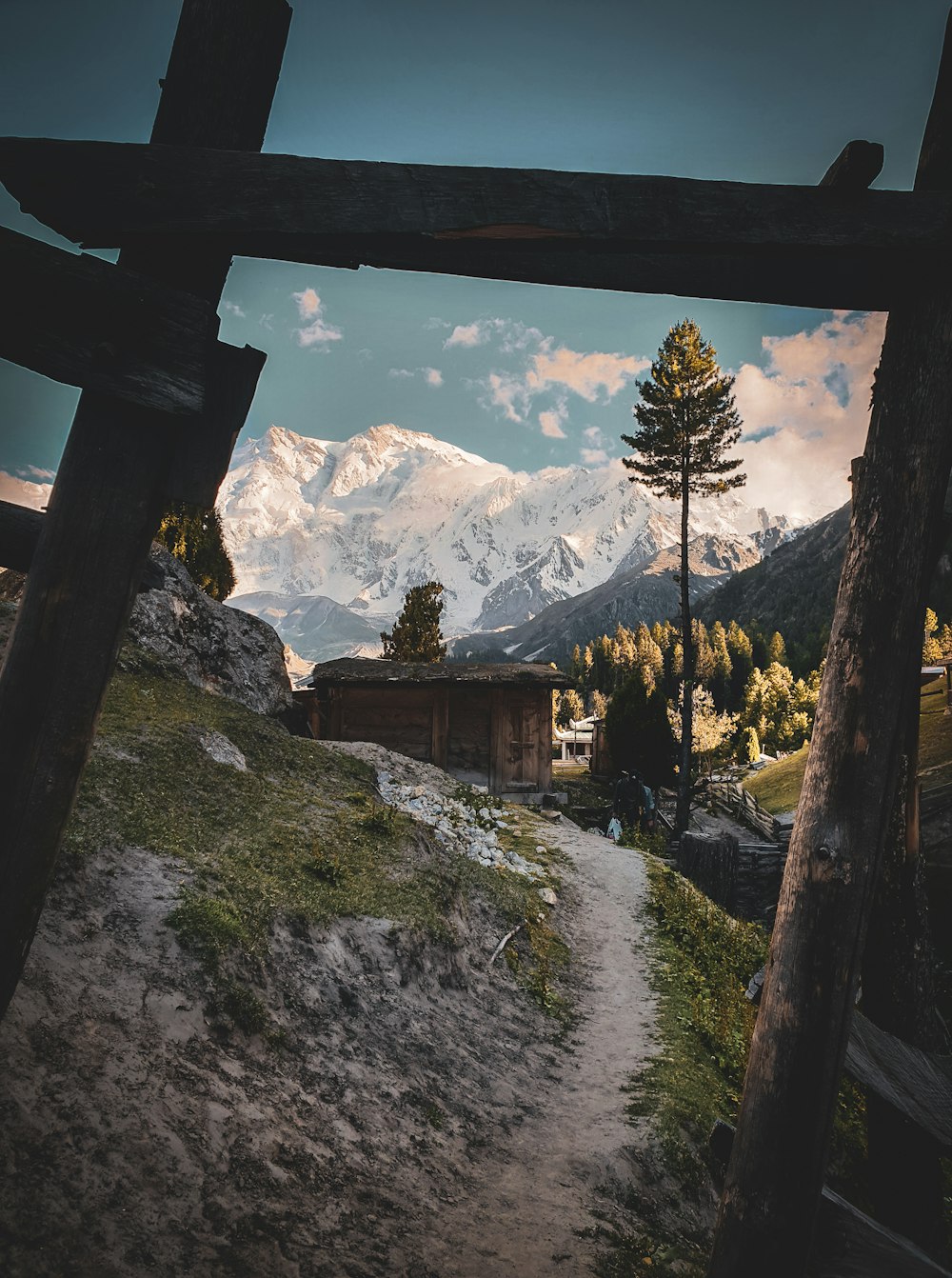 green trees on mountain during daytime