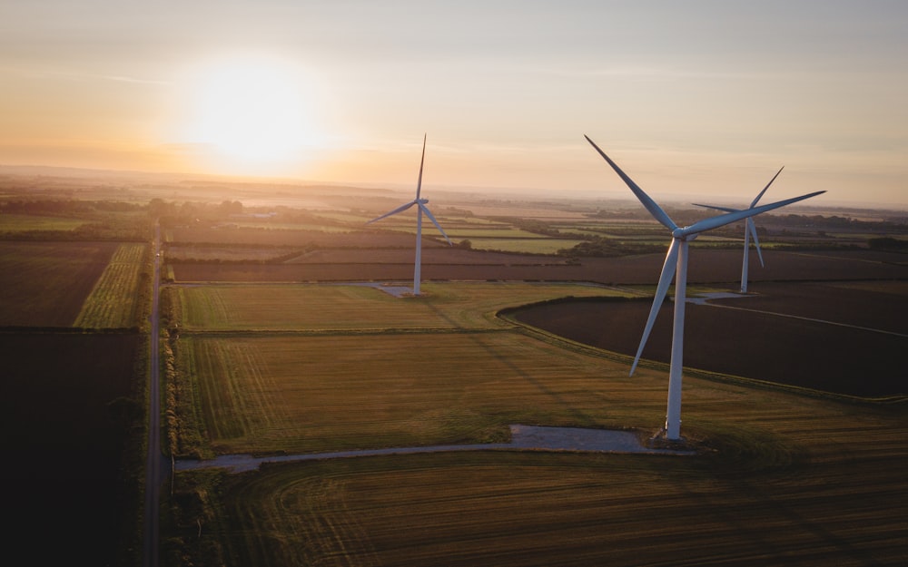 white wind turbines on green grass field during sunset