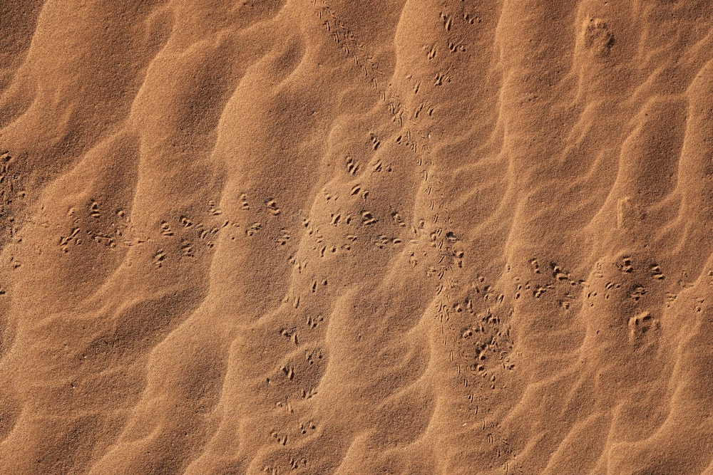 brown sand with footprints during daytime