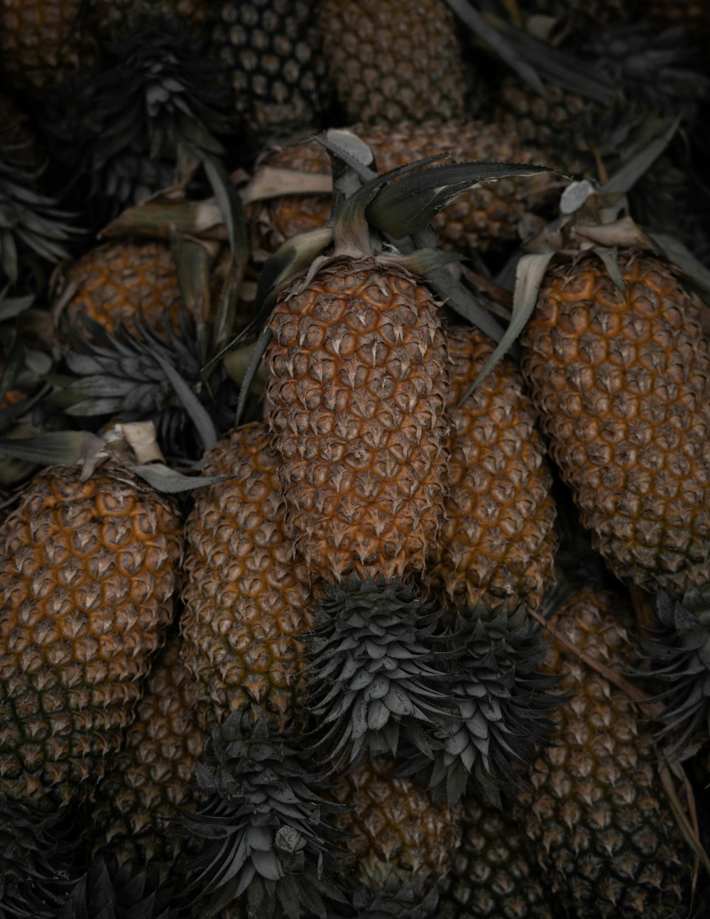 yellow and green pineapple fruits