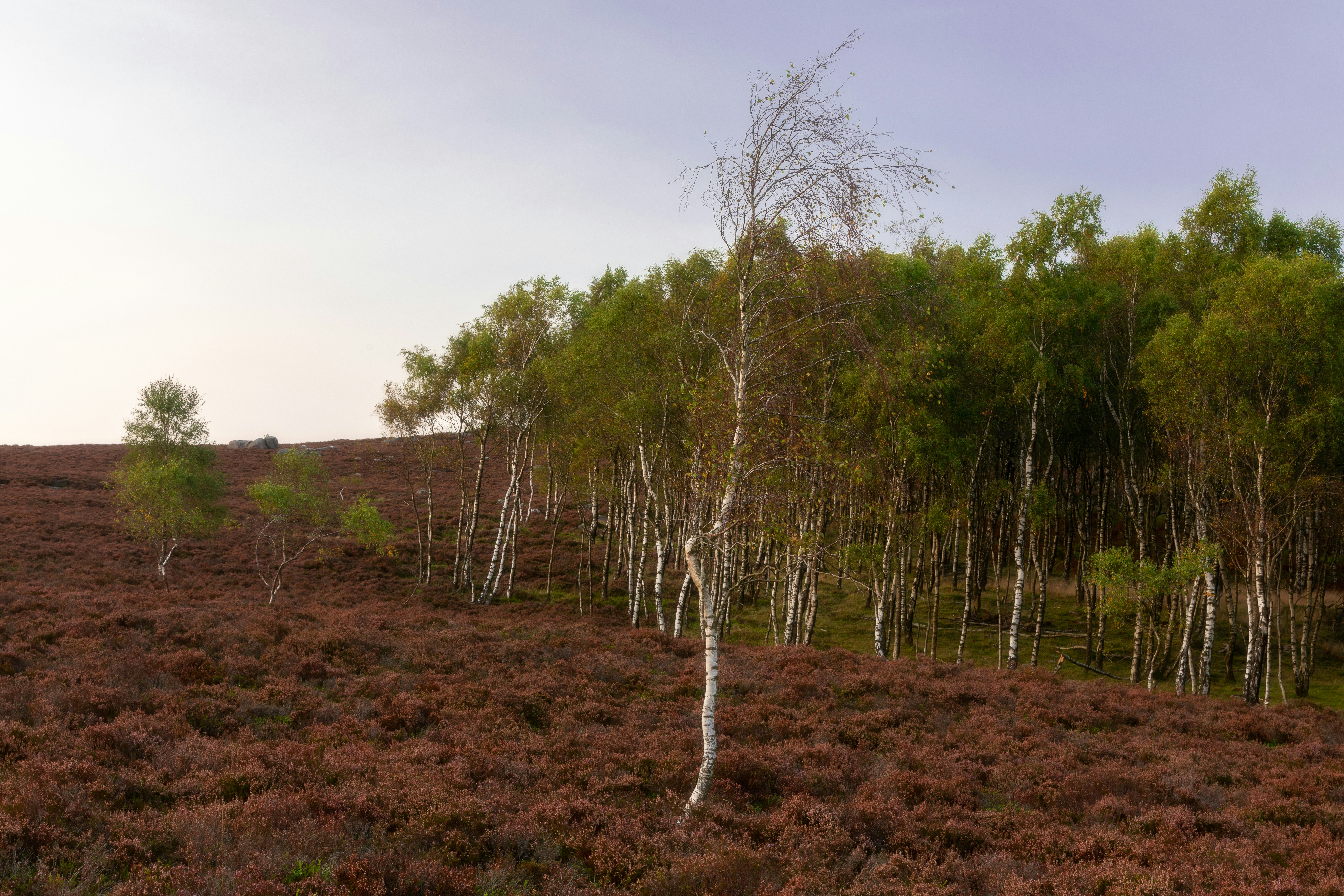 Photo by benofthenorth